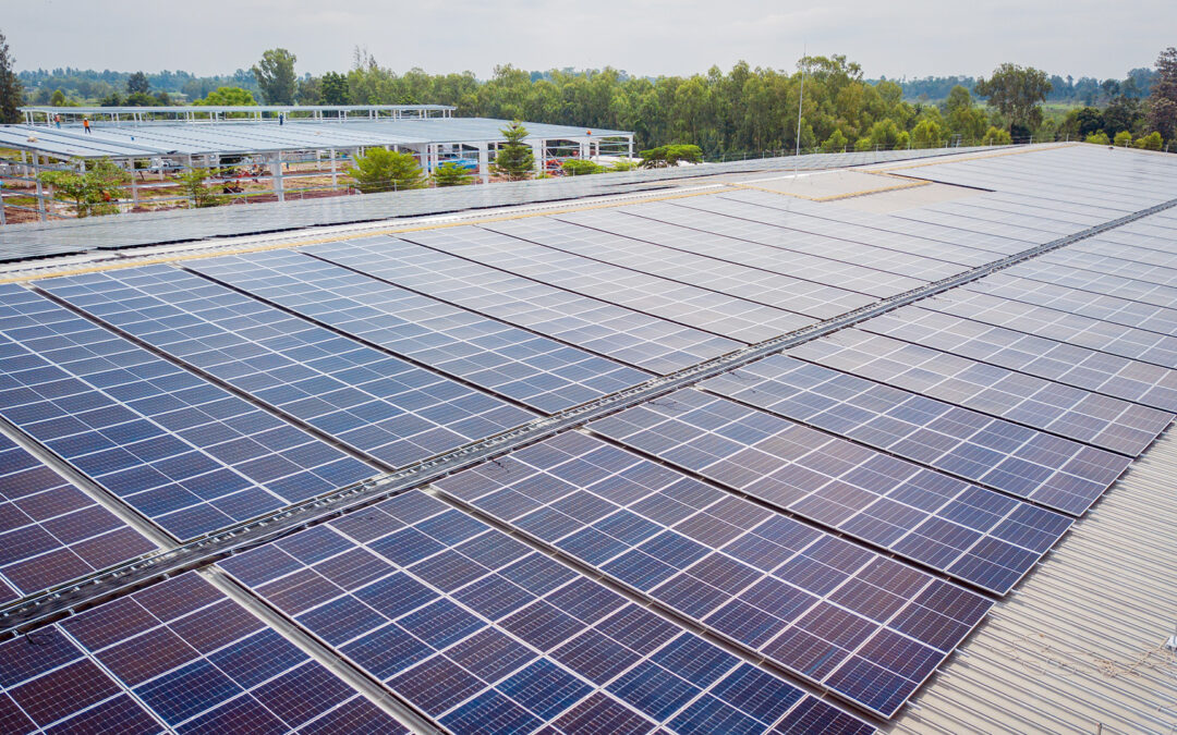 Sunshine and Savings: HBI Celebrates First Company-Owned Solar Power Project