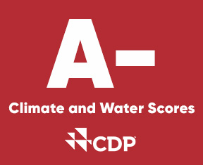 A CDP Score