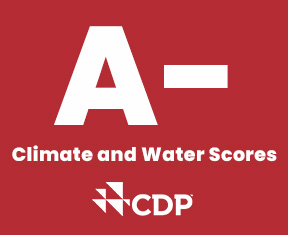 A CDP Score