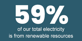 60% of our total electricity comes from renewable resources