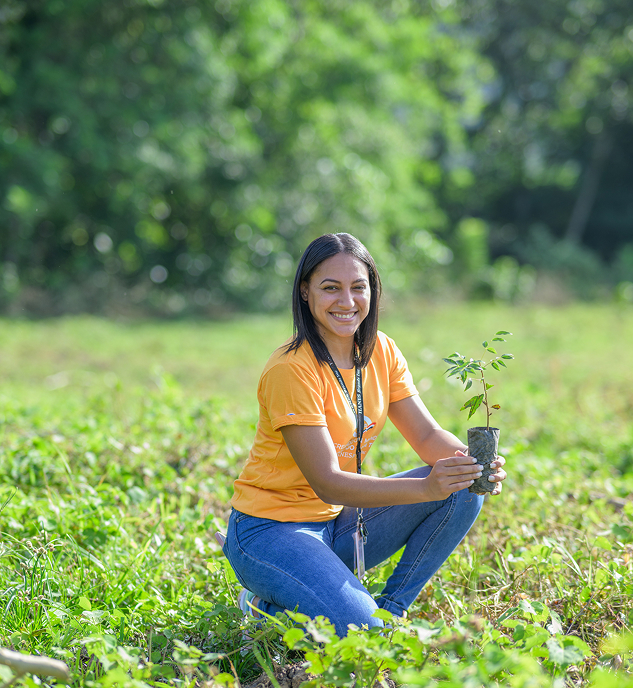 Sustainability Goals