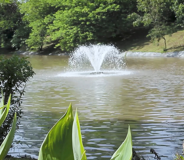 Sustainability Goals