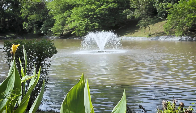 Sustainability Goals