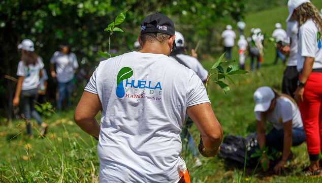 Sustainability Goals