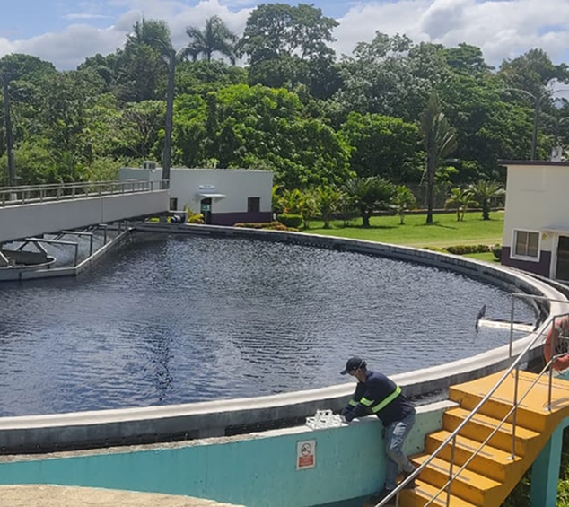 Sustainability Goals