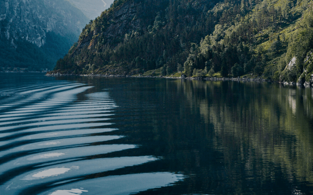 A Closer Look at How We’re Making a Difference in Water Conservation