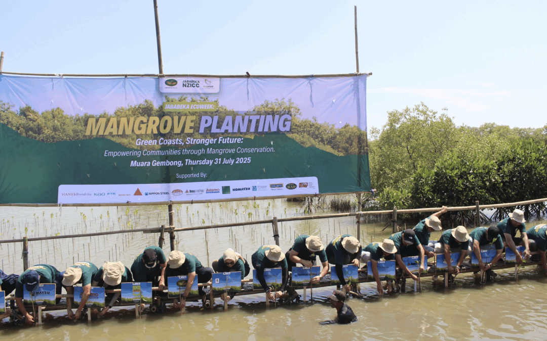 A Greener Future Through Mangrove Tree Planting in Indonesia